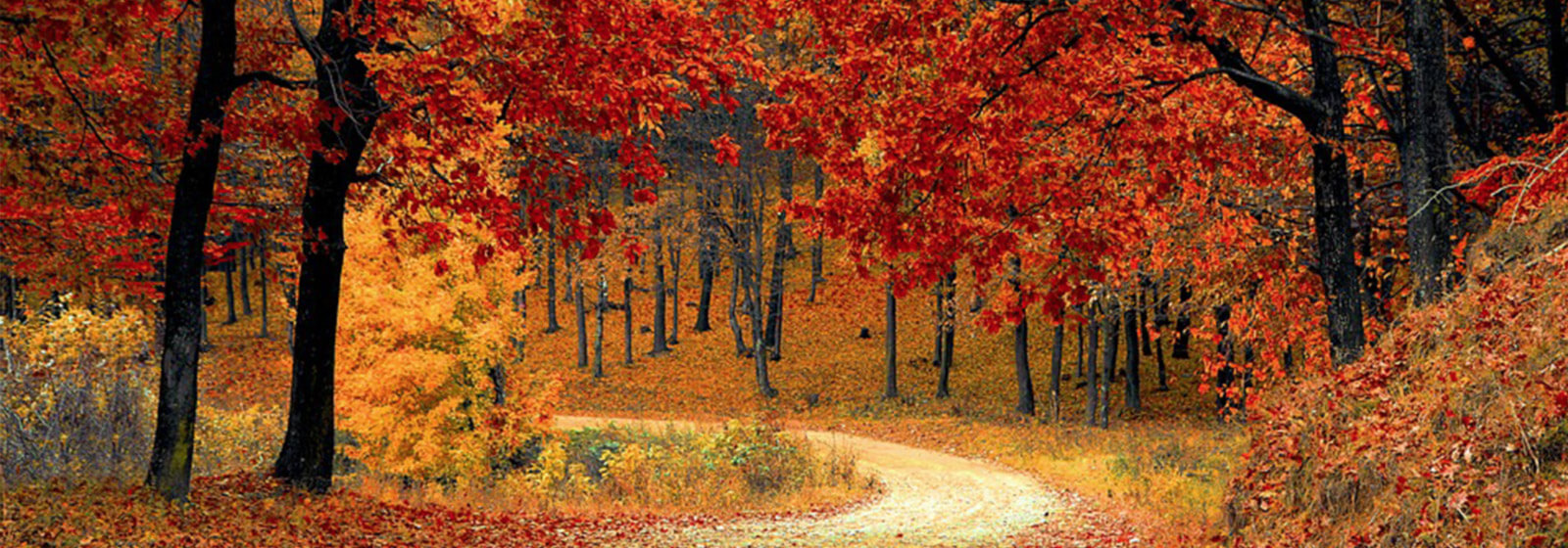 Fall road image slide