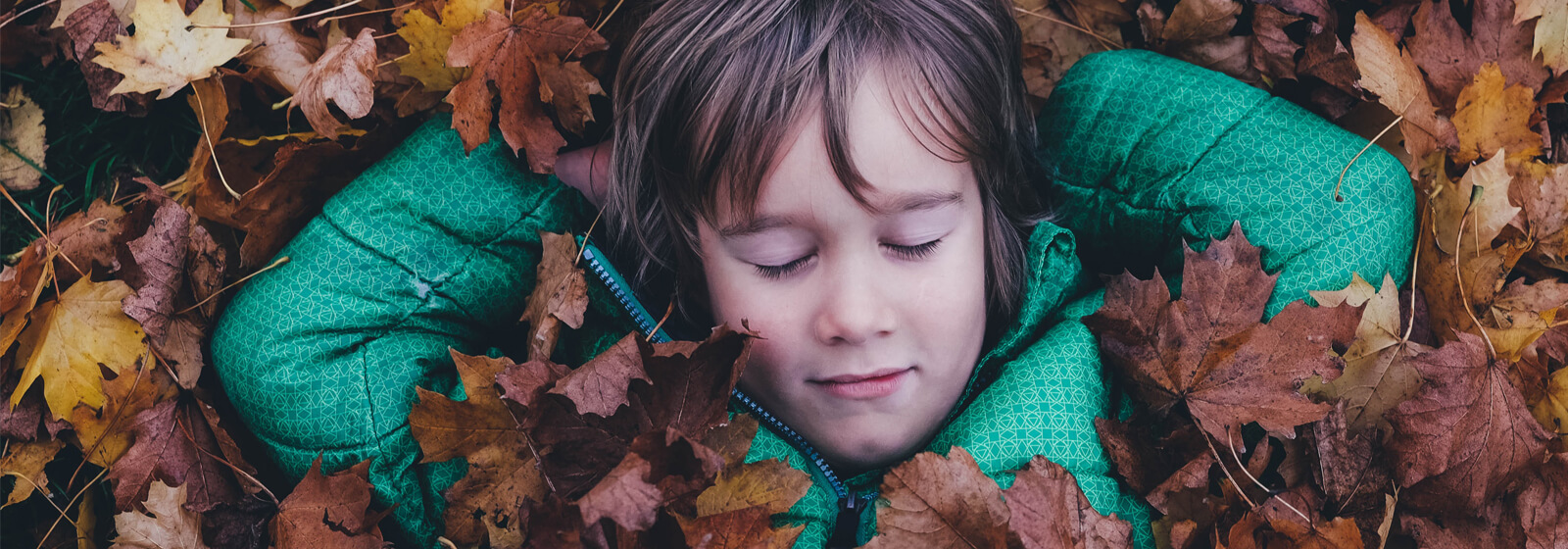 Child covered in leaves image slide